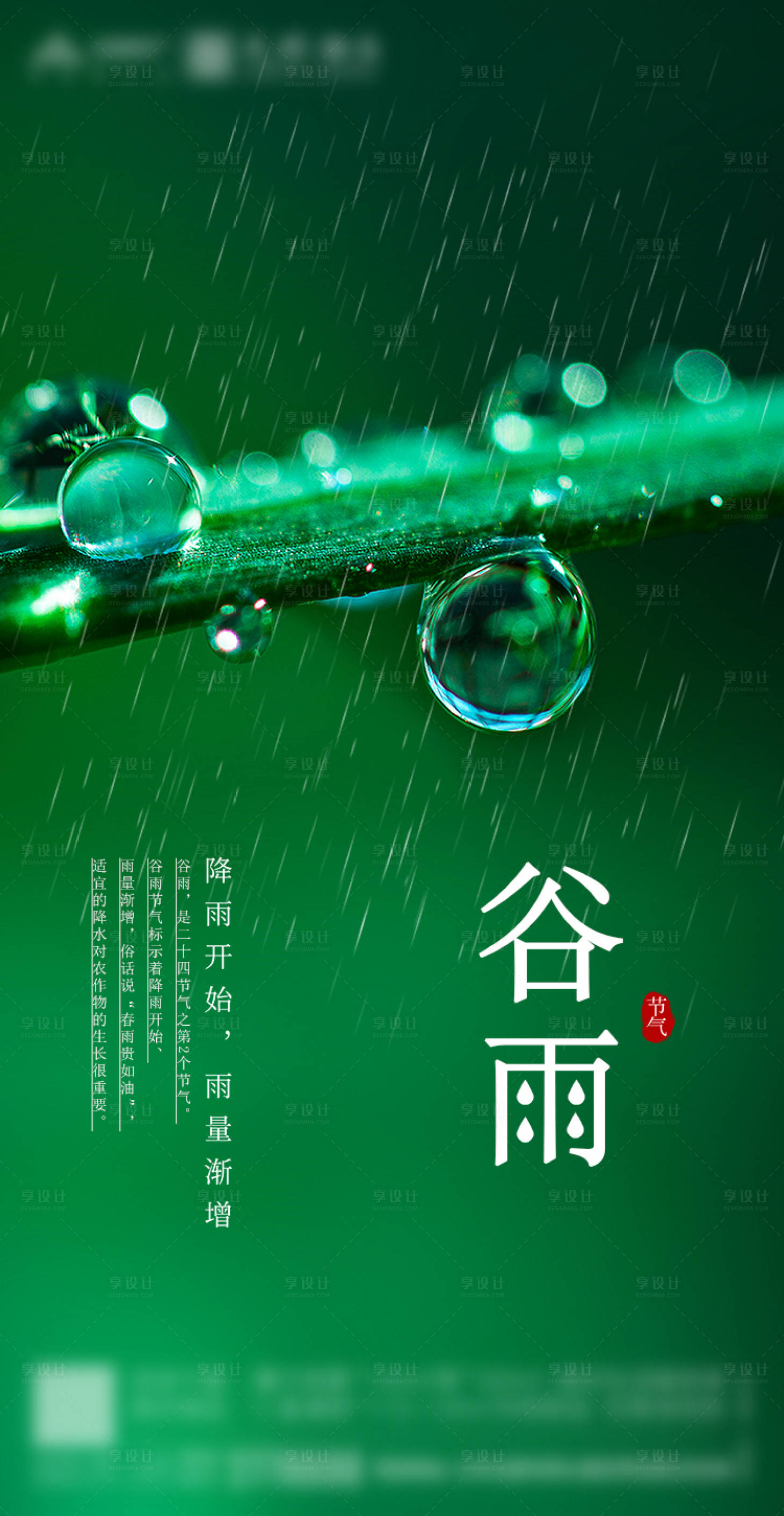 绿色谷雨节气海报