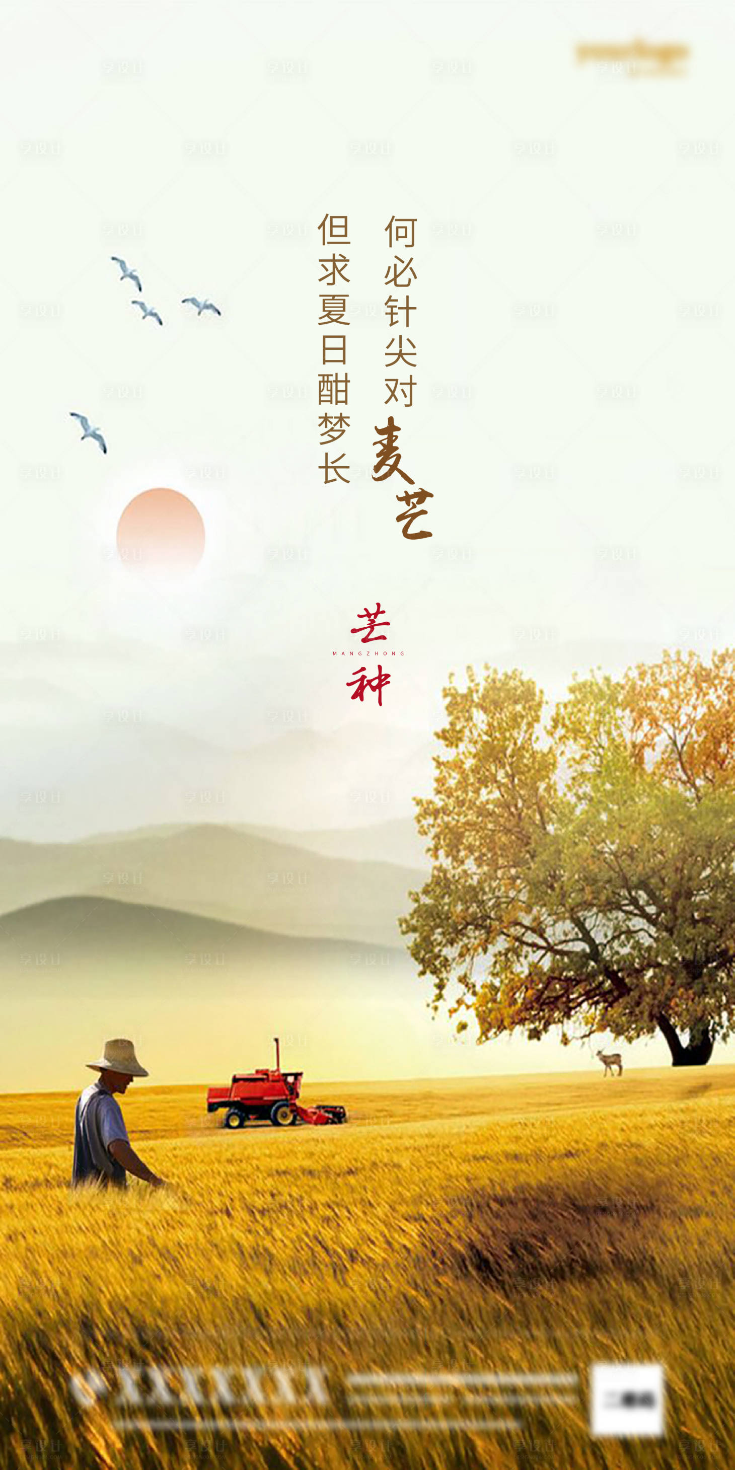 【源文件下载】 海报 二十四节气 芒种 收获 丰收 麦田 稻谷