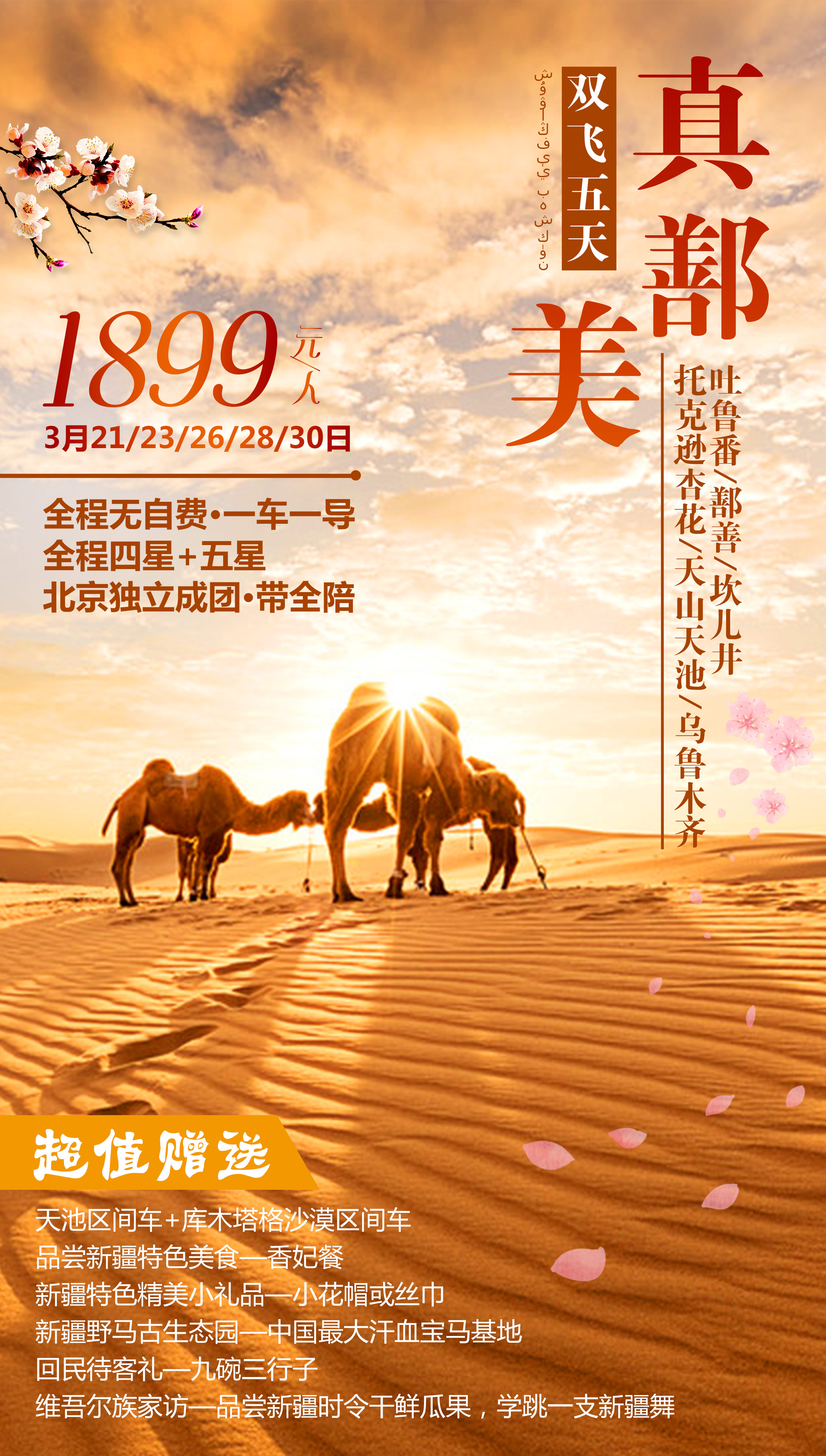 新疆沙漠骆驼旅游海报