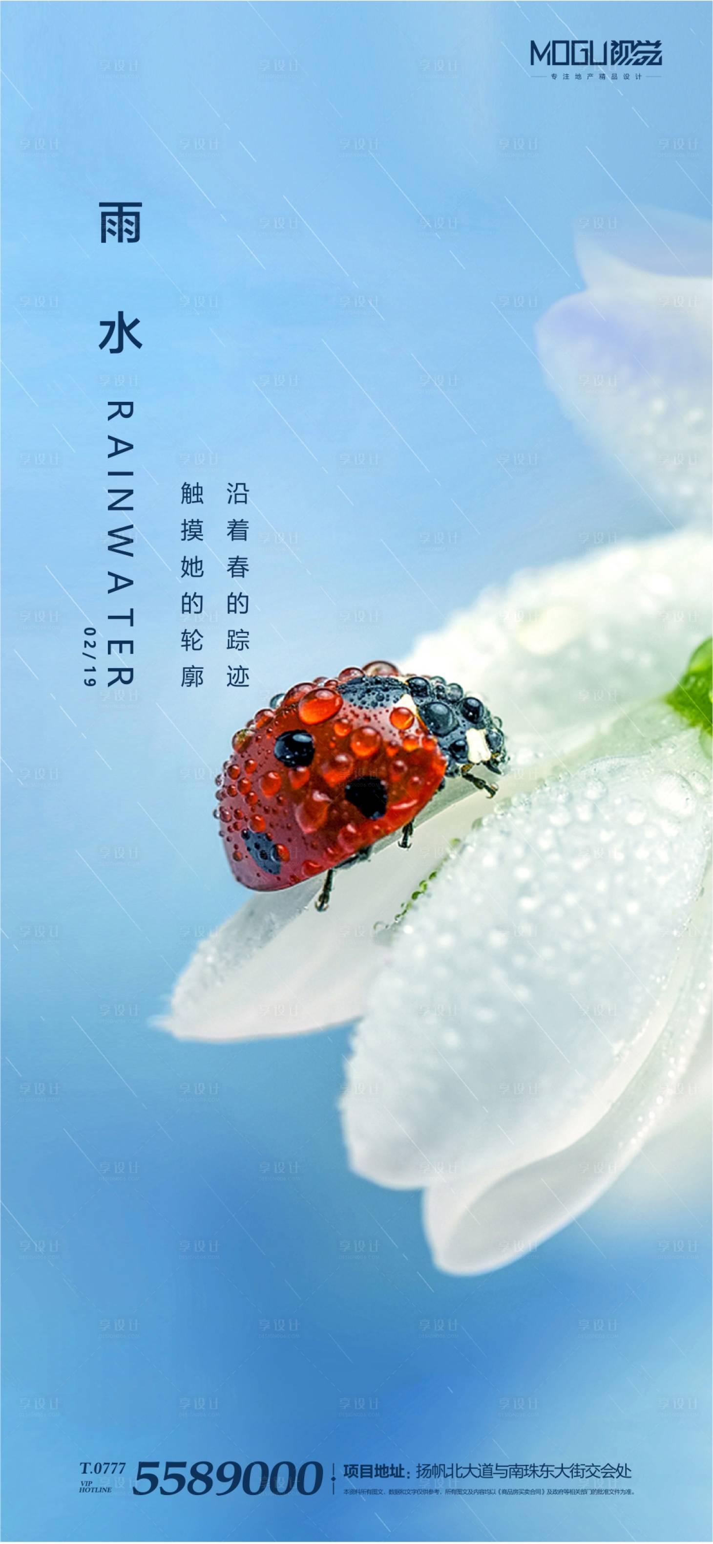 【源文件下载 海报 雨水 二十四节气 七星瓢虫 花朵 露珠 雨滴
