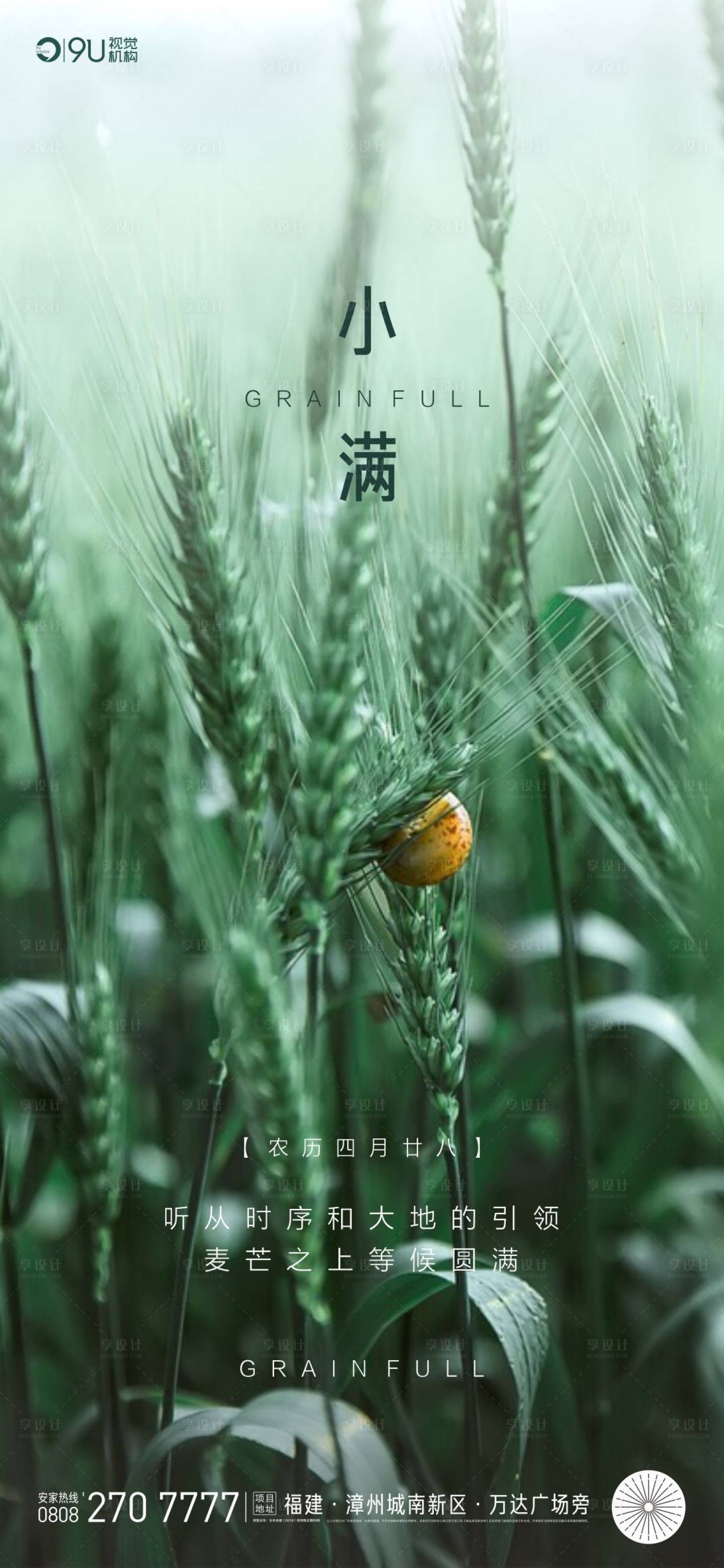 【源文件下载】 海报 房地产 小满 二十四节气 麦穗 瓢虫