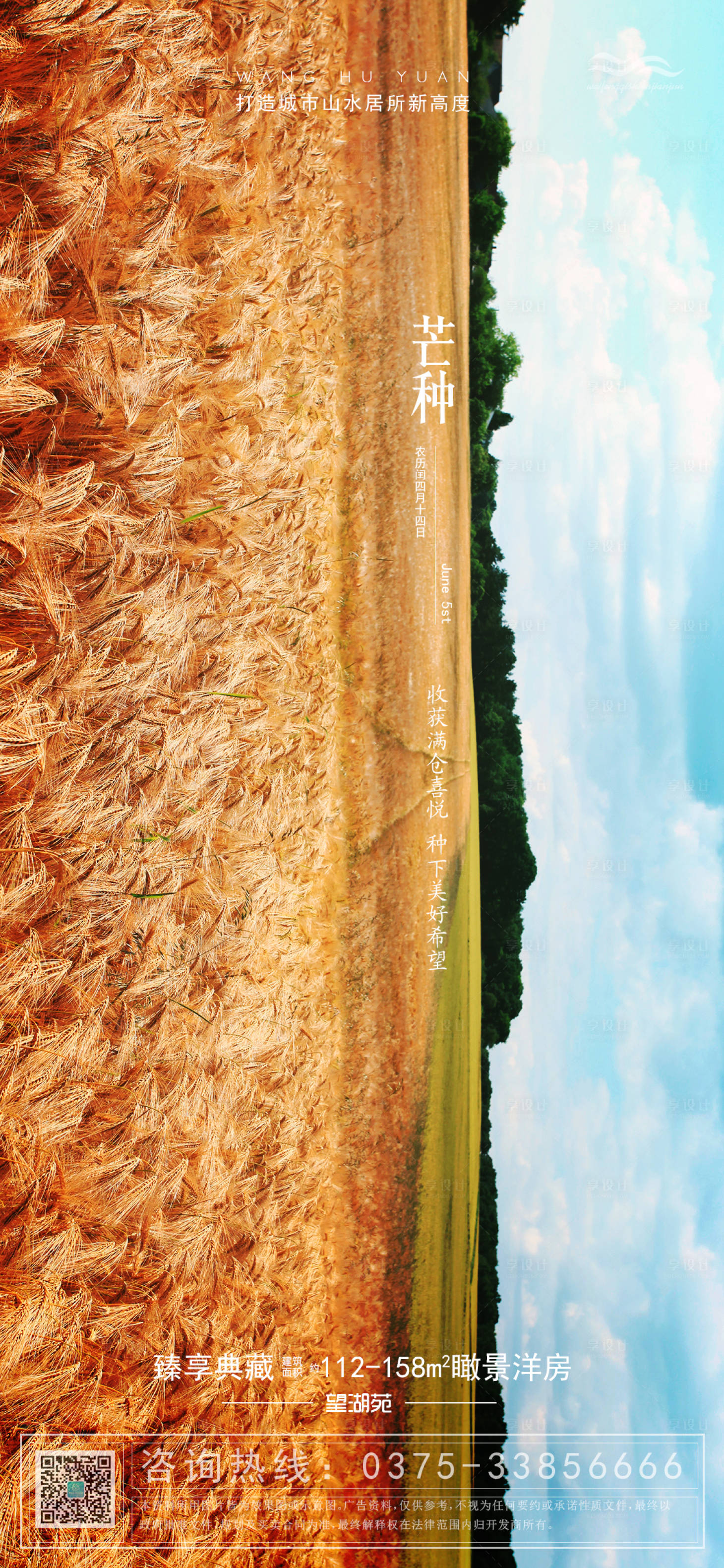 竖版丰收麦田芒种海报