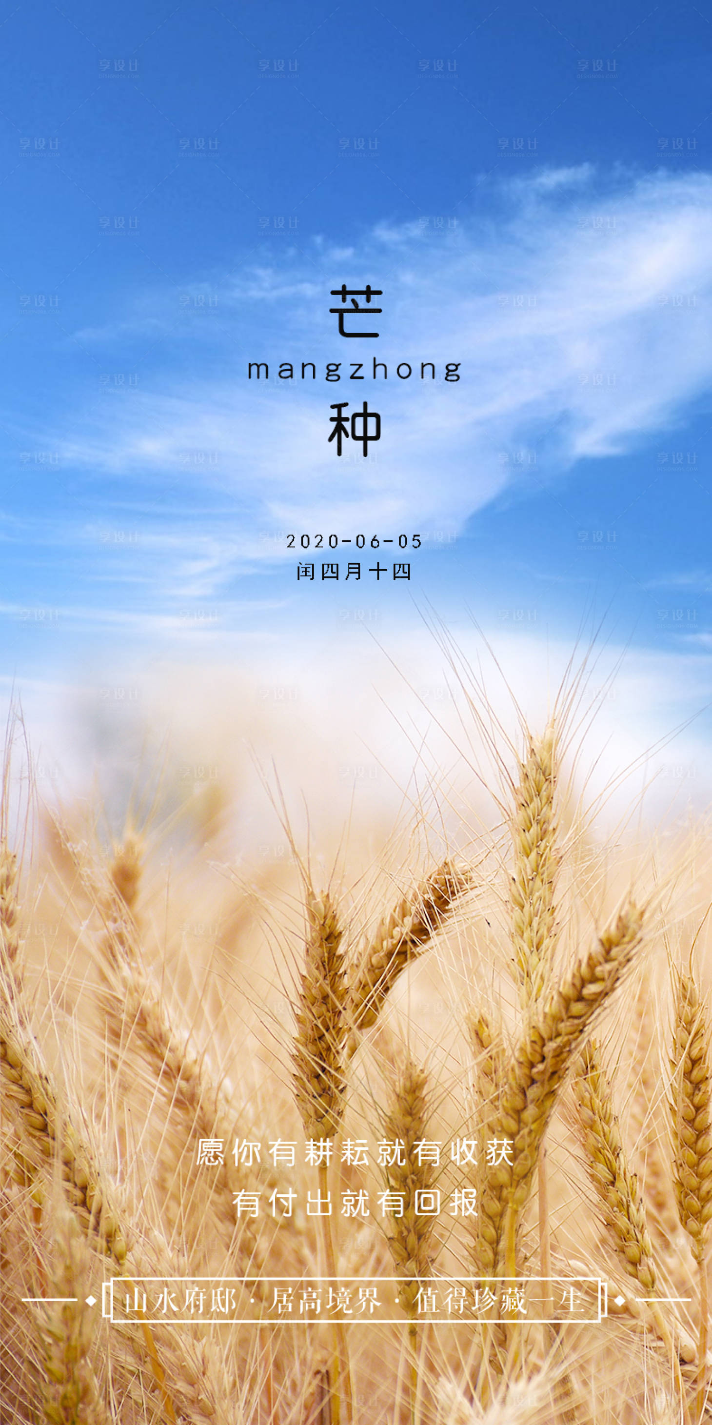 芒种移动端海报